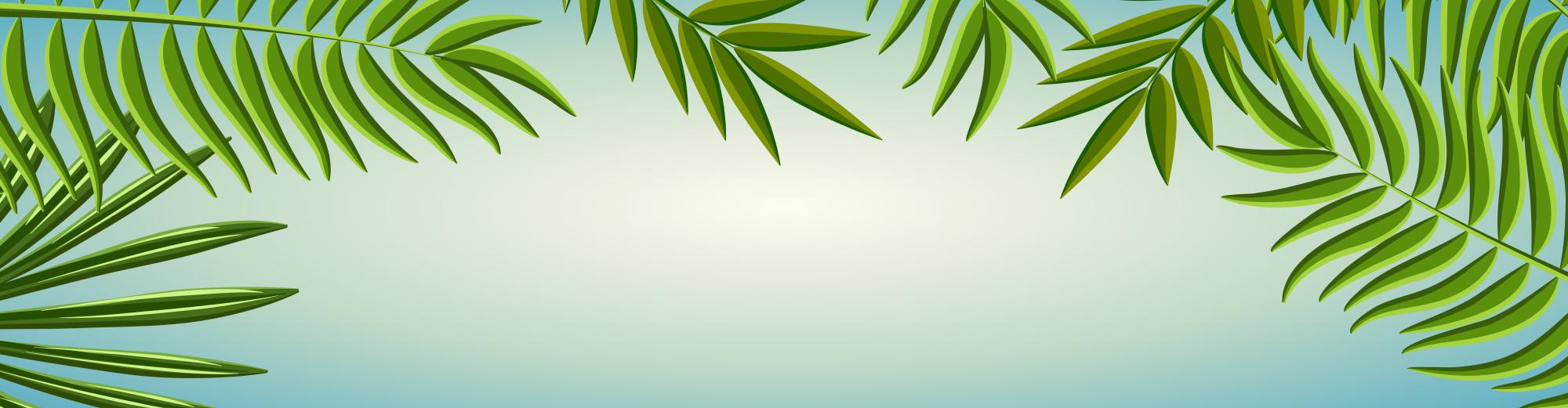 Programme de formations aux Antilles 